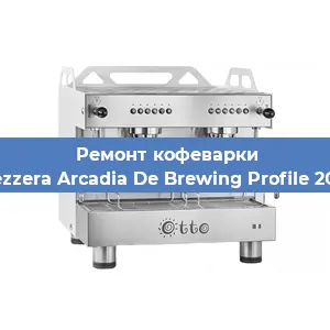 Замена прокладок на кофемашине Bezzera Arcadia De Brewing Profile 2GR в Челябинске
